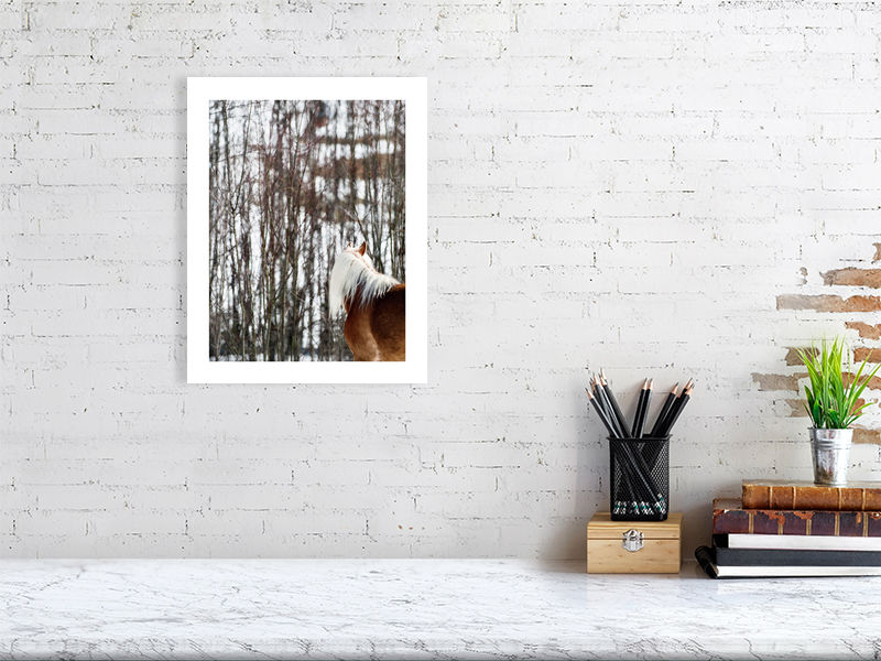 Haflinger in the Trees :: Fine Art Print