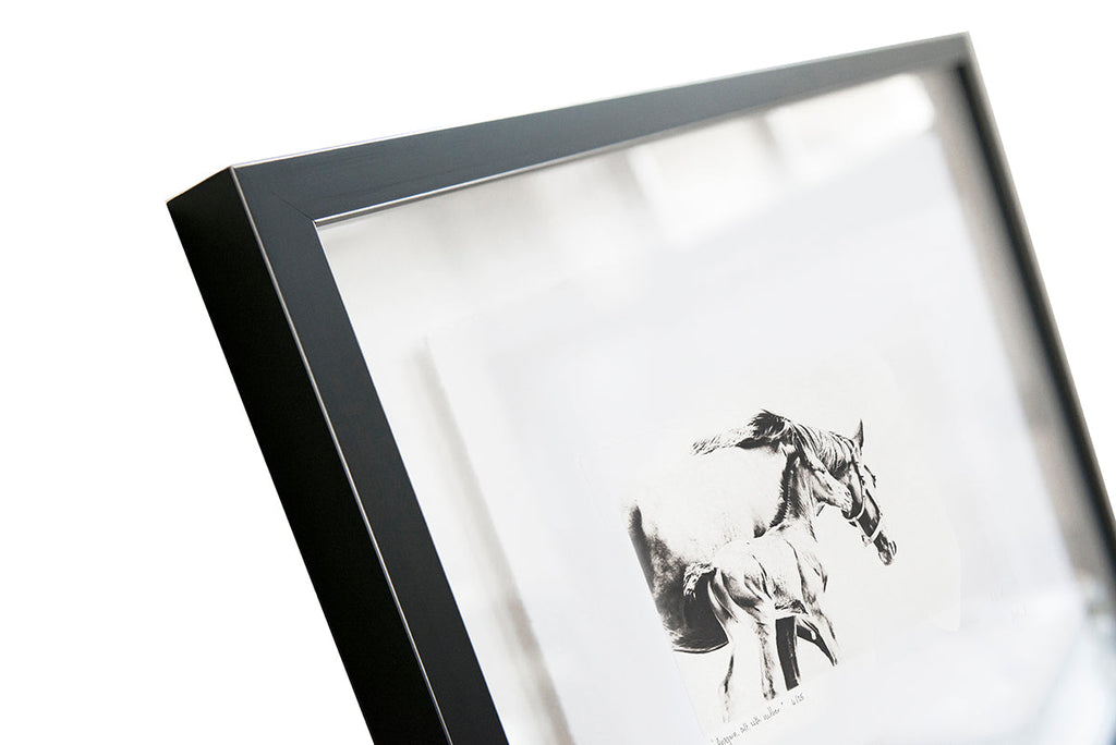 Aragorn, Colt, With Mother :: Photogravure Etching (framed)