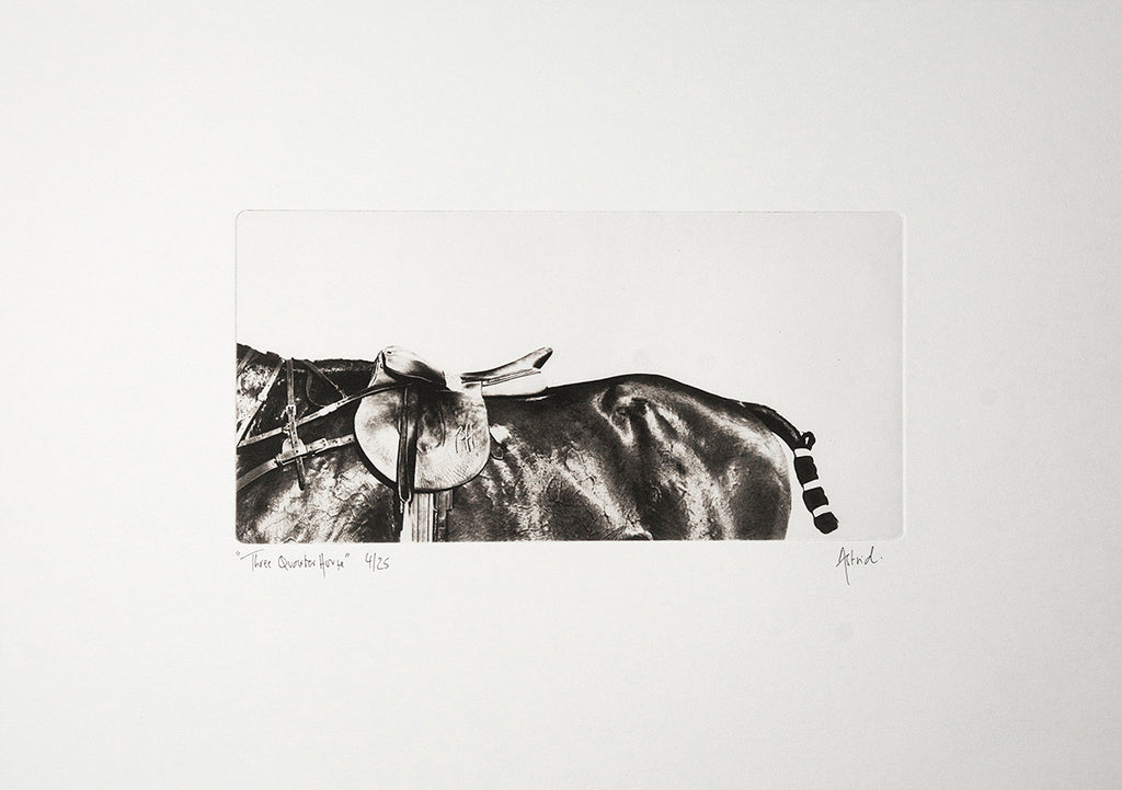 Three Quarter Horse :: Photogravure Etching (framed)