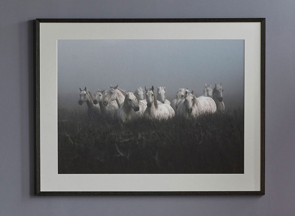 Camargue in the Mist :: Fine Art Print